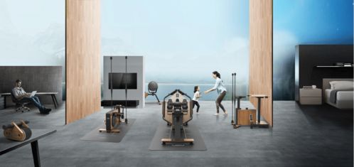 早期项目 健身器材品牌 梵品运动 推出多运动场景解决方案,服务90 的基础健身人群